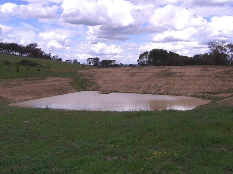 3654 Murringo Road, Young NSW 2594