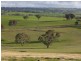3654 Murringo Road, Young NSW 2594