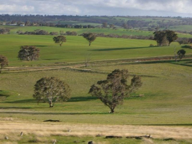 3654 Murringo Road, Young NSW 2594