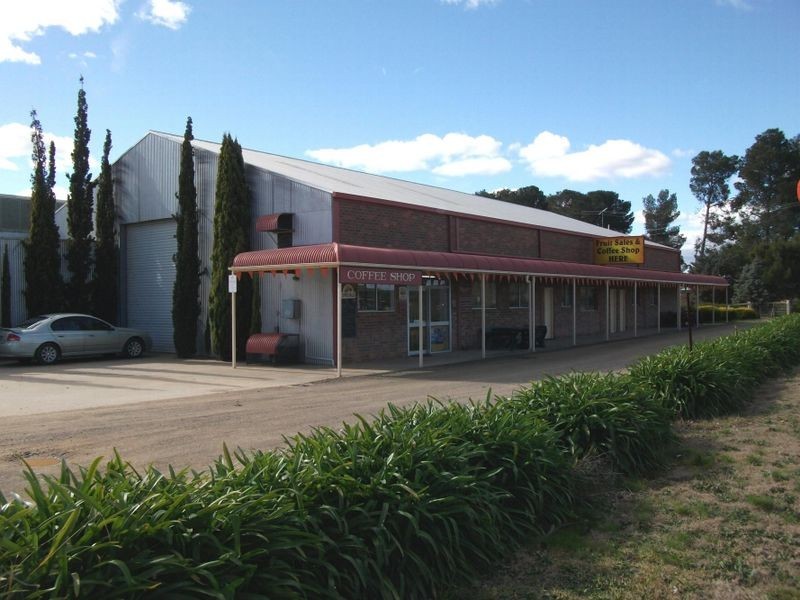 CHERRYHAVE Olympic Way North, Young NSW 2594