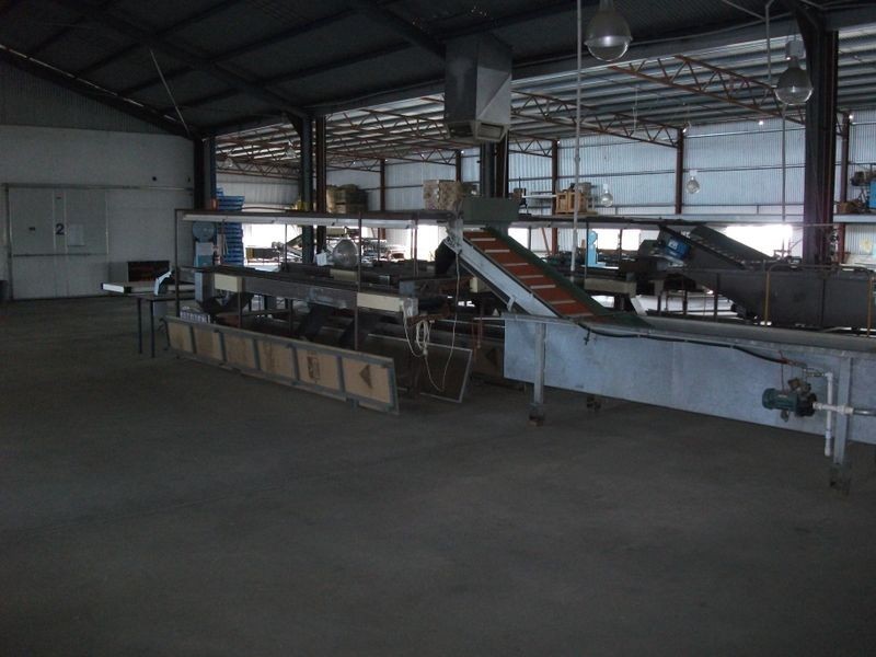 CHERRYHAVE Olympic Way North, Young NSW 2594