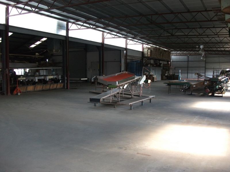 CHERRYHAVE Olympic Way North, Young NSW 2594