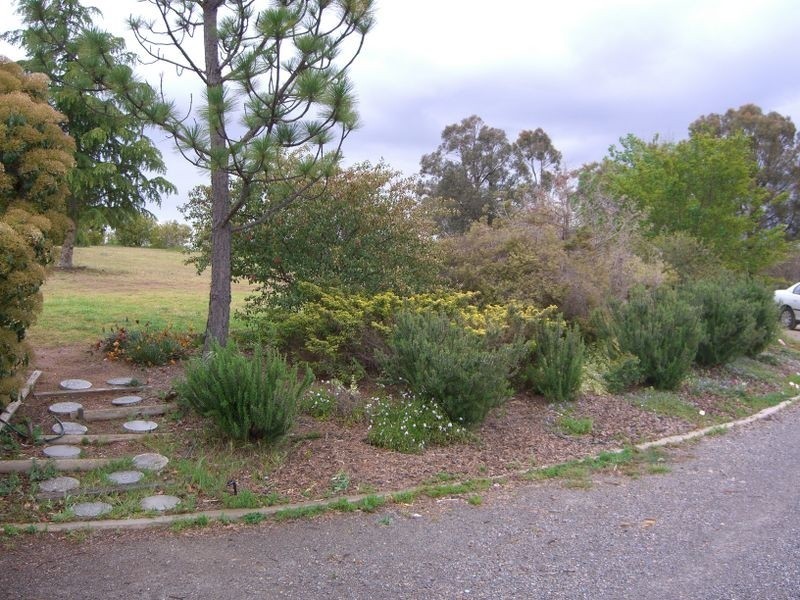 40 Byrne Avenue, Young NSW 2594