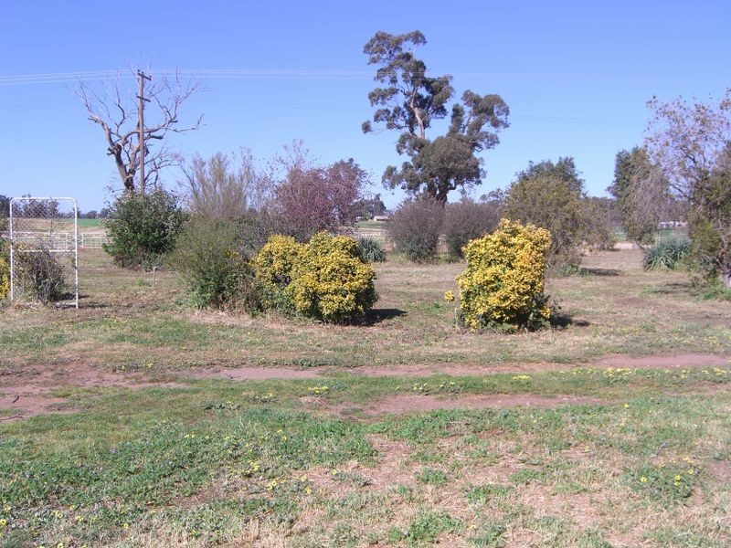 00 “Shangra-Lar – Bribbarree Road, Thuddungra NSW 2594
