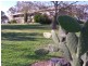 70 Roberts Road, Young NSW 2594