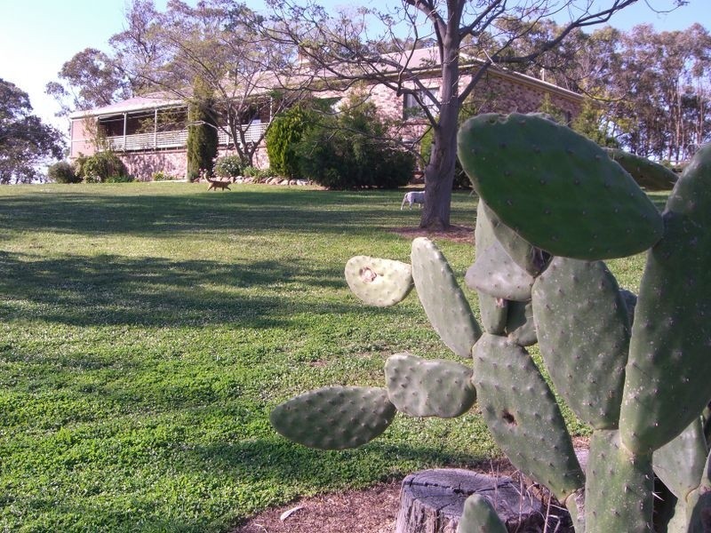 70 Roberts Road, Young NSW 2594