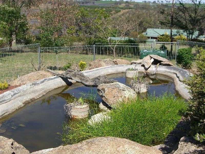 70 Roberts Road, Young NSW 2594