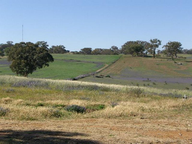 70 Roberts Road, Young NSW 2594
