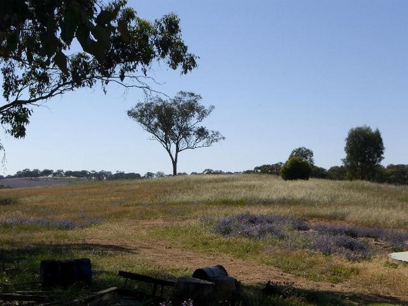 70 Roberts Road, Young NSW 2594