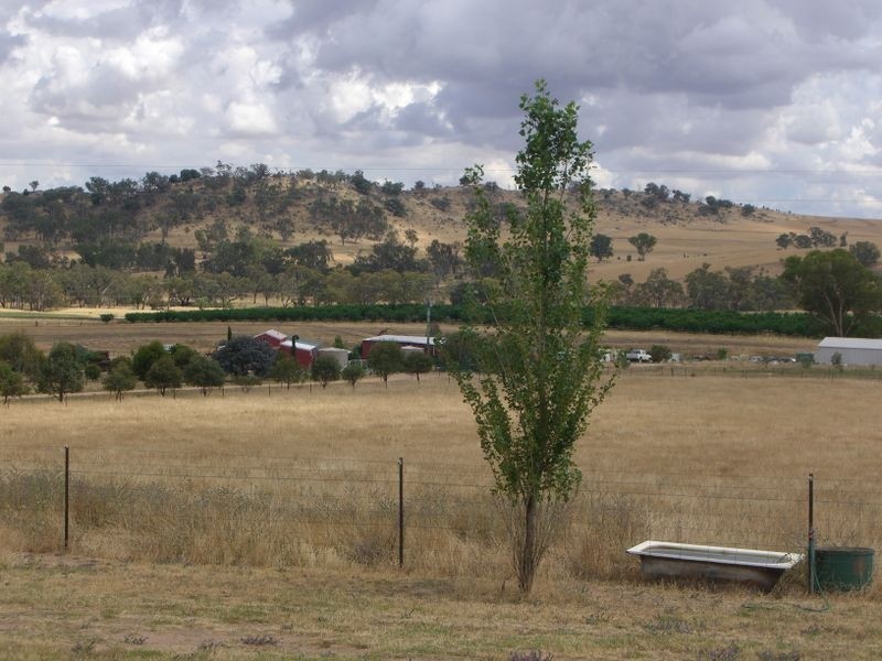 48 Saines Estate Road, Young NSW 2594