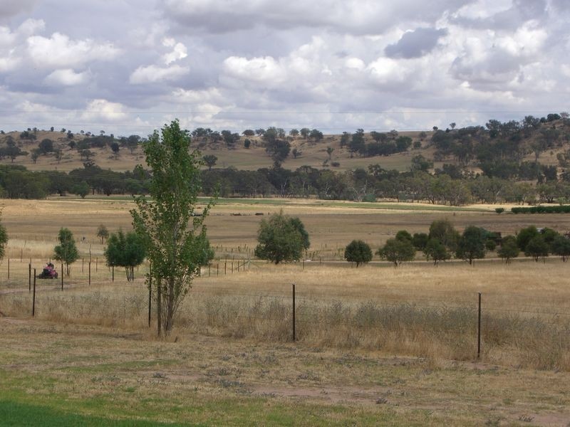 48 Saines Estate Road, Young NSW 2594