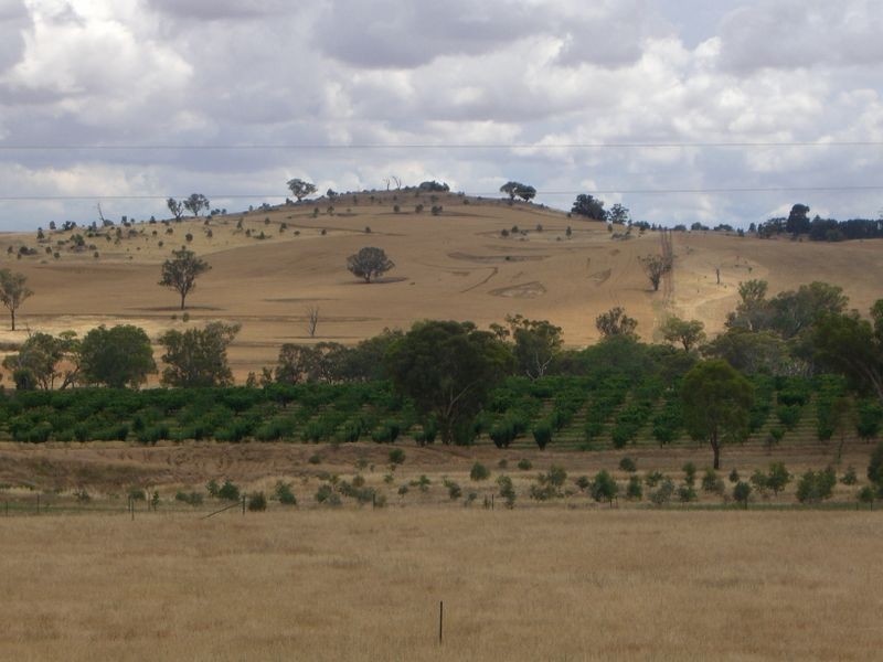 48 Saines Estate Road, Young NSW 2594