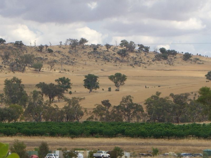 48 Saines Estate Road, Young NSW 2594