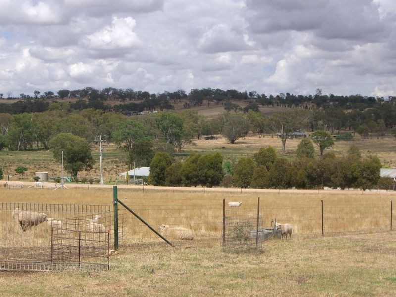 48 Saines Estate Road, Young NSW 2594