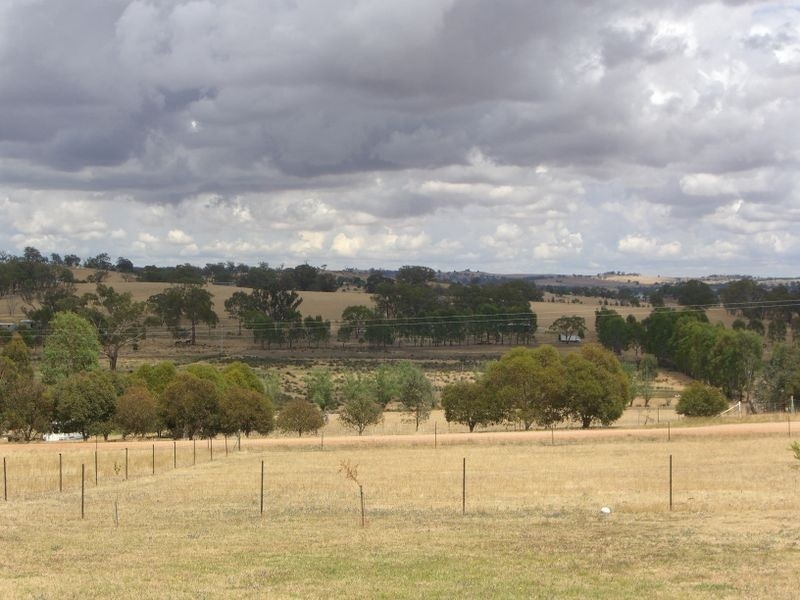 48 Saines Estate Road, Young NSW 2594