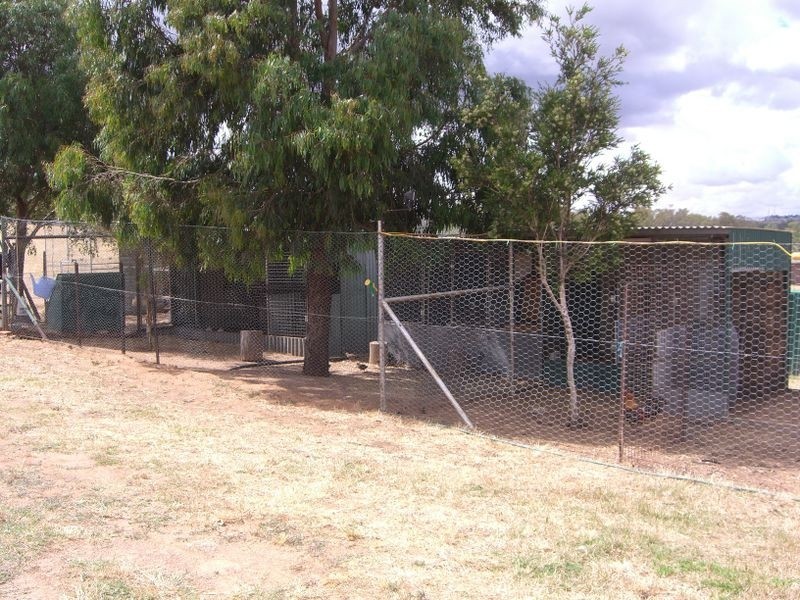 48 Saines Estate Road, Young NSW 2594