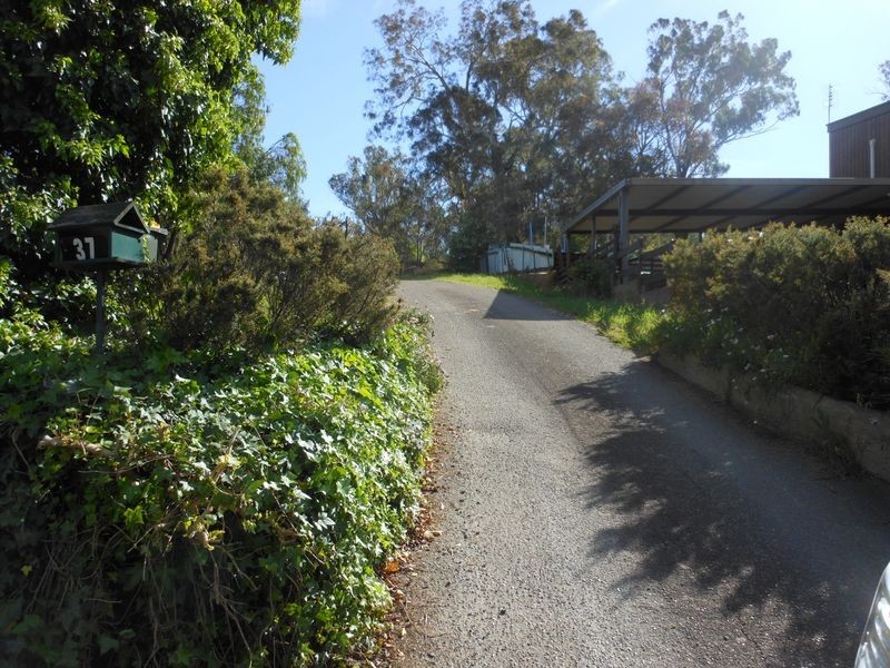 37 Whiteman Avenue, Young NSW 2594