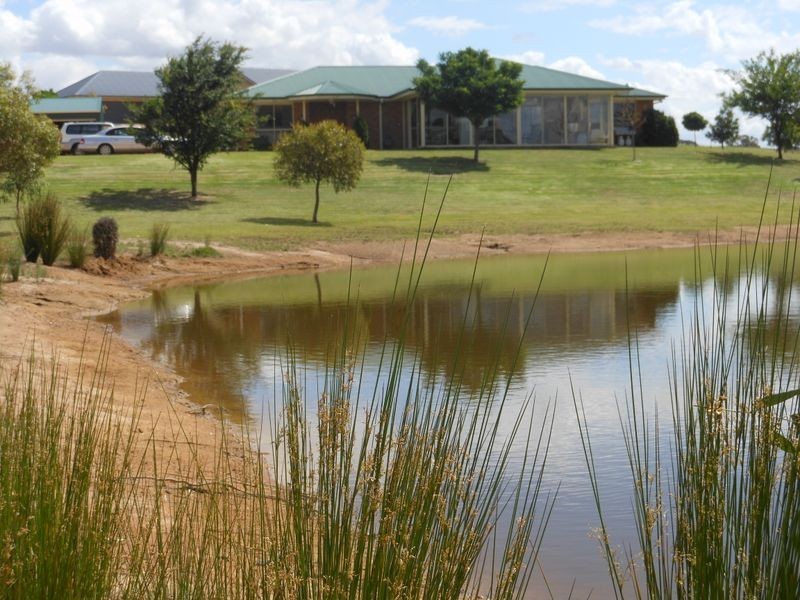 52 Newtons Rd, Young NSW 2594