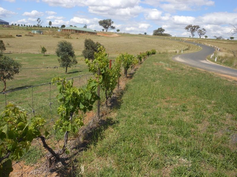 52 Newtons Rd, Young NSW 2594