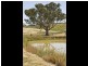 52 Newtons Rd, Young NSW 2594