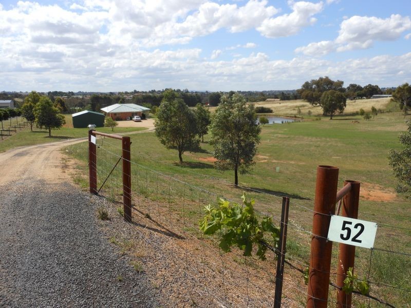 52 Newtons Rd, Young NSW 2594