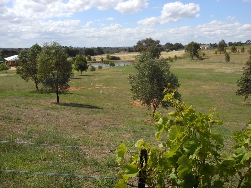 52 Newtons Rd, Young NSW 2594
