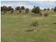 52 Newtons Rd, Young NSW 2594