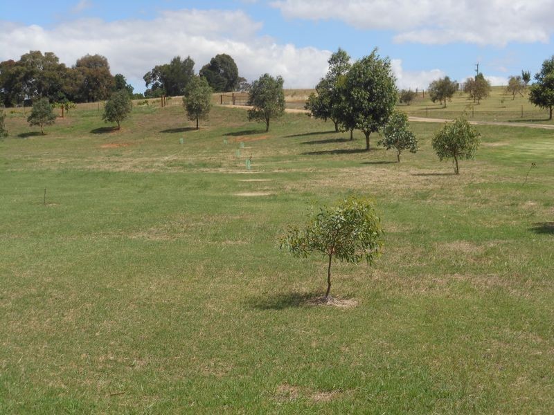 52 Newtons Rd, Young NSW 2594