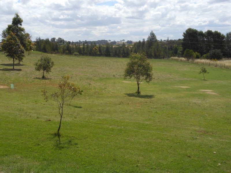52 Newtons Rd, Young NSW 2594