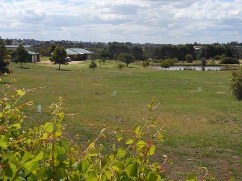 52 Newtons Rd, Young NSW 2594