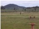46 Mcgee Place Murringo, Young NSW 2594