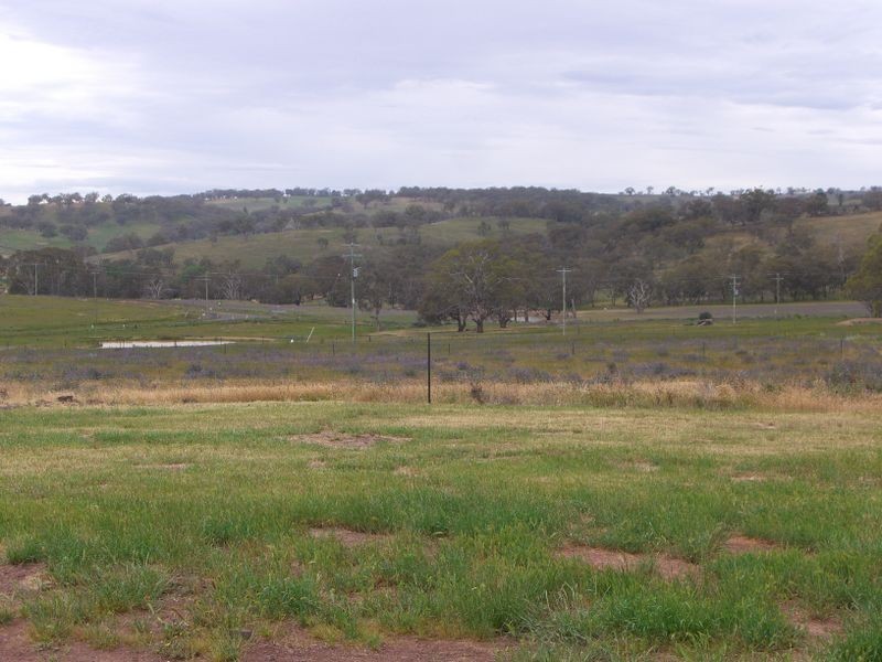 46 Mcgee Place Murringo, Young NSW 2594
