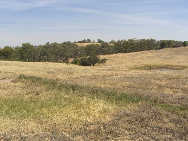 Young NSW 2594