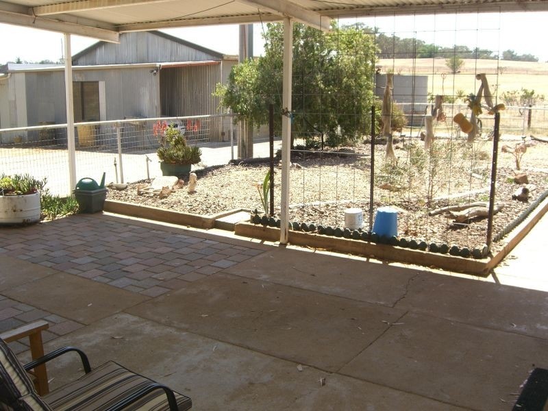 Young NSW 2594