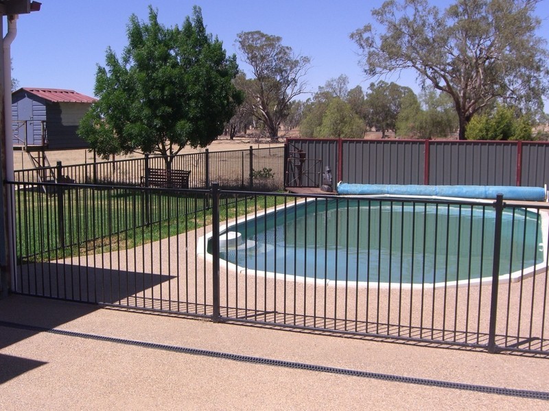 Torokina Wedallion Rd, Young NSW 2594