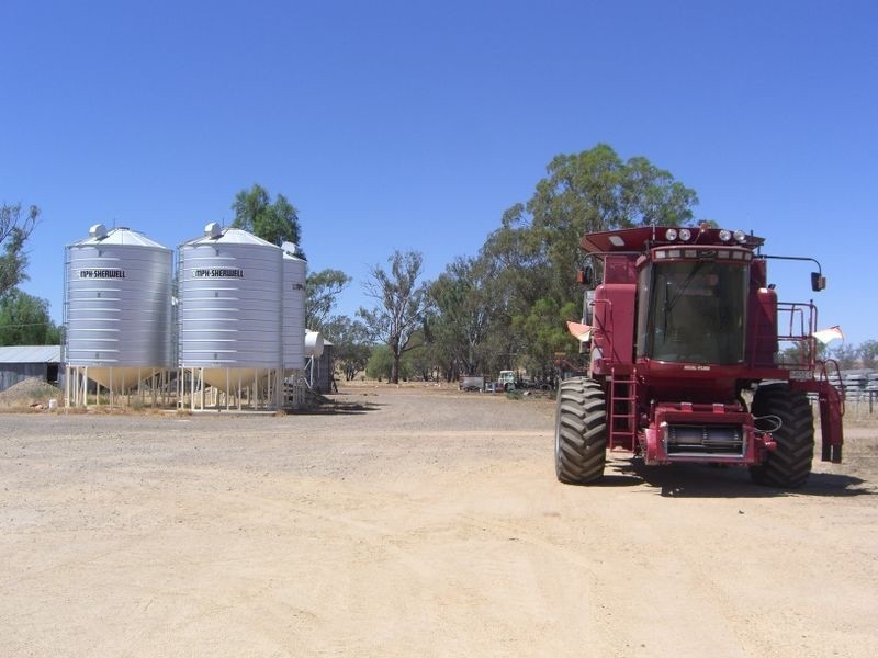 Torokina Wedallion Rd, Young NSW 2594