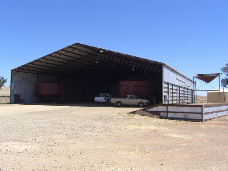 Torokina Wedallion Rd, Young NSW 2594