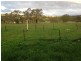 16 Hardys Road, Young NSW 2594