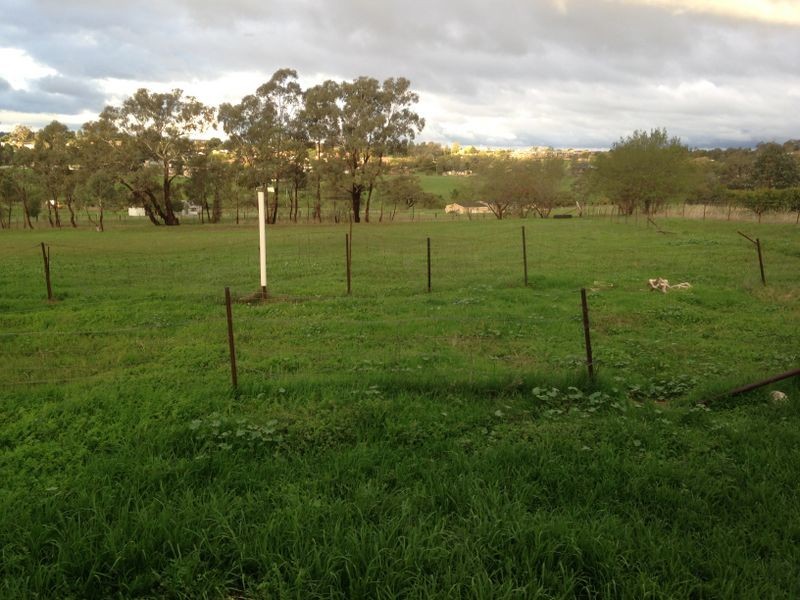 16 Hardys Road, Young NSW 2594