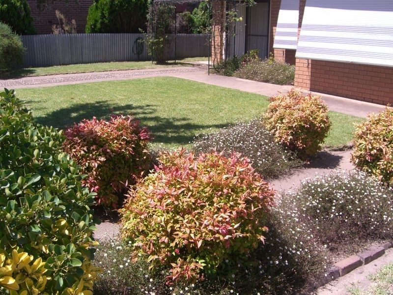 16 Clarke Street, Young NSW 2594