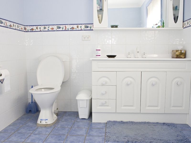 22 Jim Anderson Avenue, Young NSW 2594