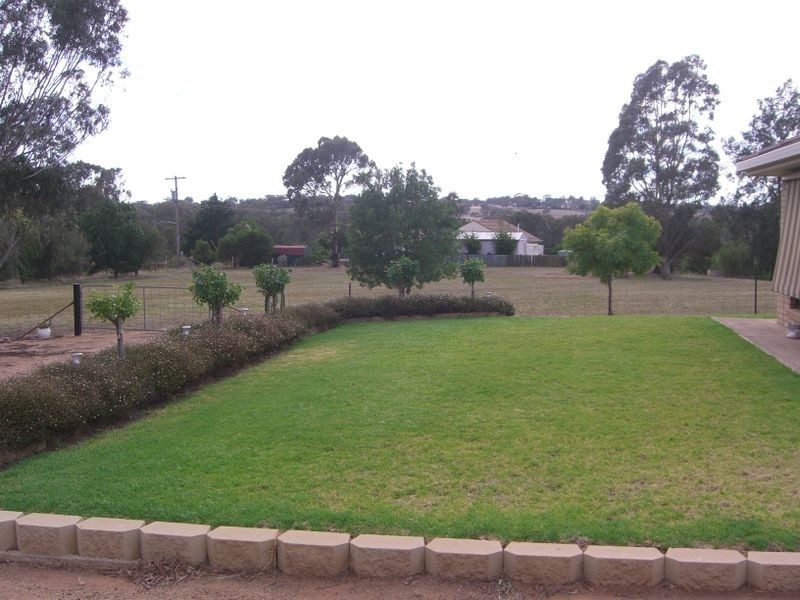 20 Pitstone Road, Young NSW 2594