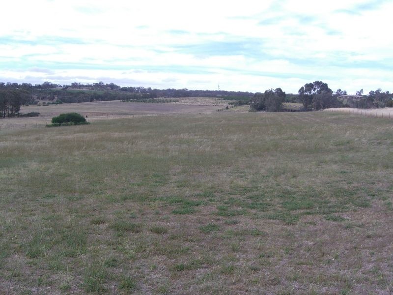 20 Pitstone Road, Young NSW 2594