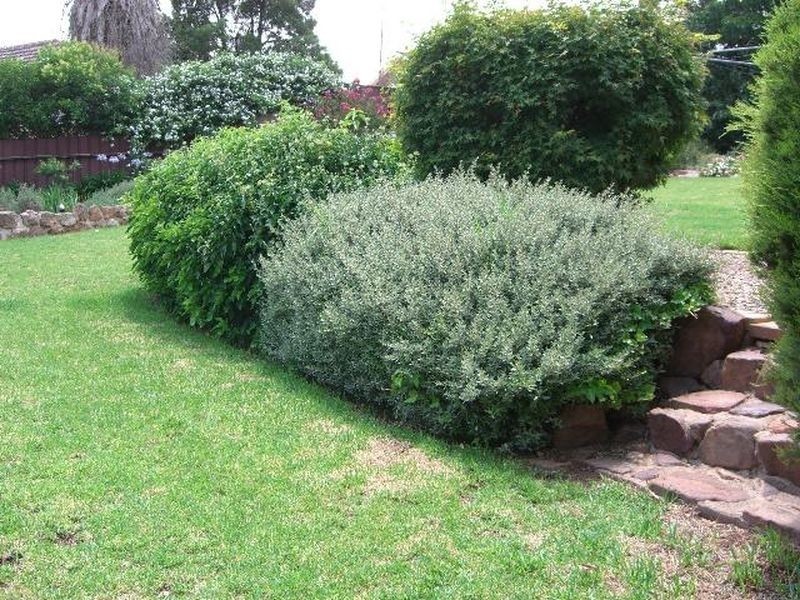 17 HARDY AVE, Young NSW 2594