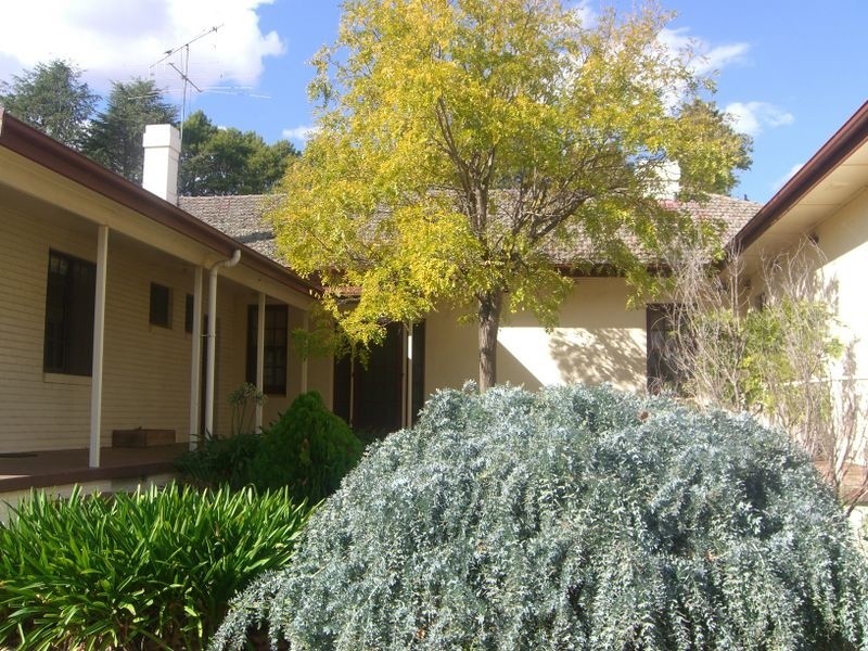 00 Warranoy Homestead, Young NSW 2594