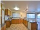 36 Back Creek Road, Young NSW 2594