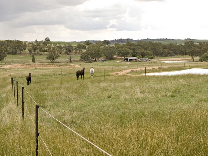 177 Golden Grove Road, Young NSW 2594