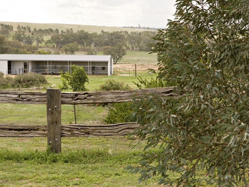 177 Golden Grove Road, Young NSW 2594