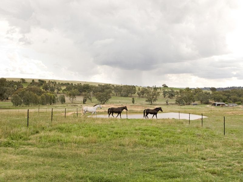 177 Golden Grove Road, Young NSW 2594