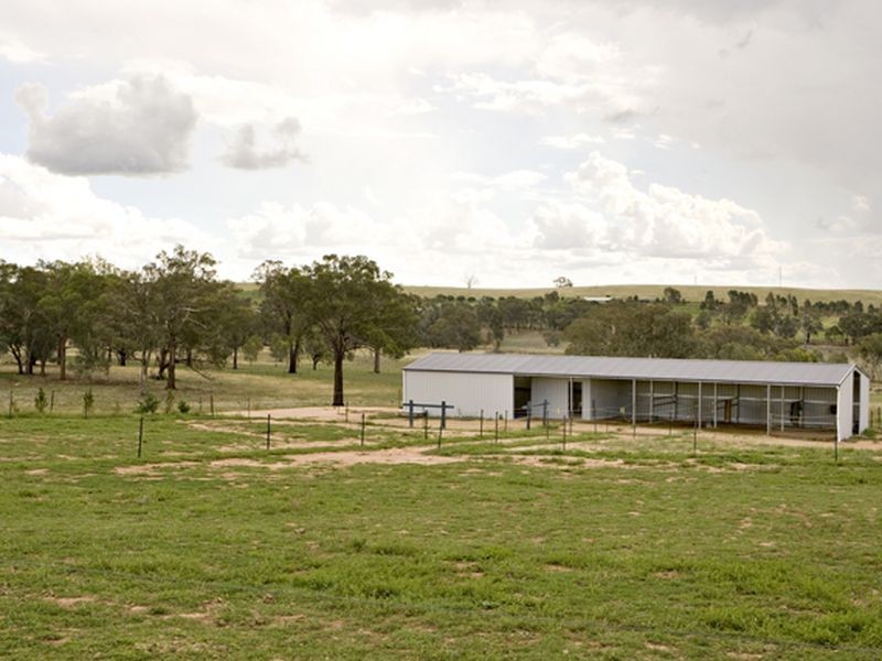 177 Golden Grove Road, Young NSW 2594